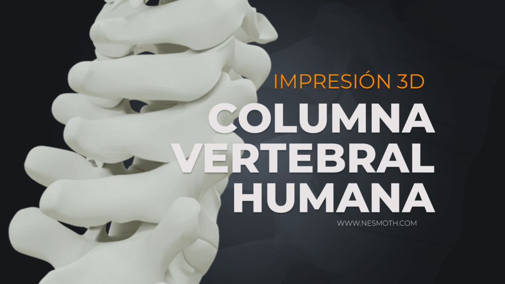 Nesmoth columna vertebral 3D