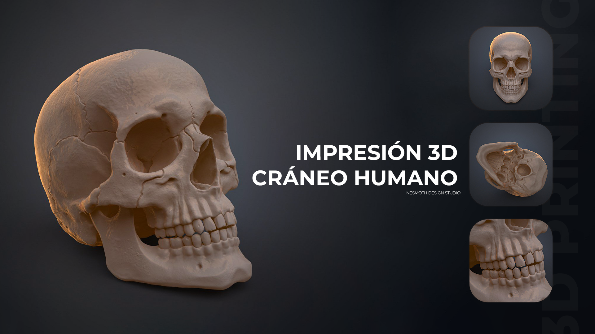Diseño Gráfico y Marketing