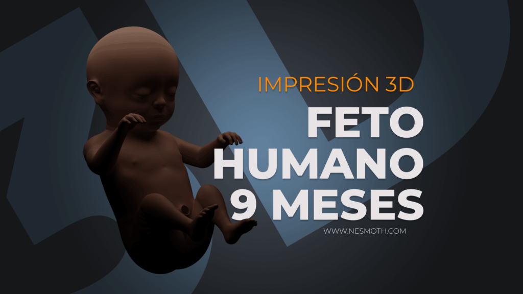 Nesmoth Feto Humano